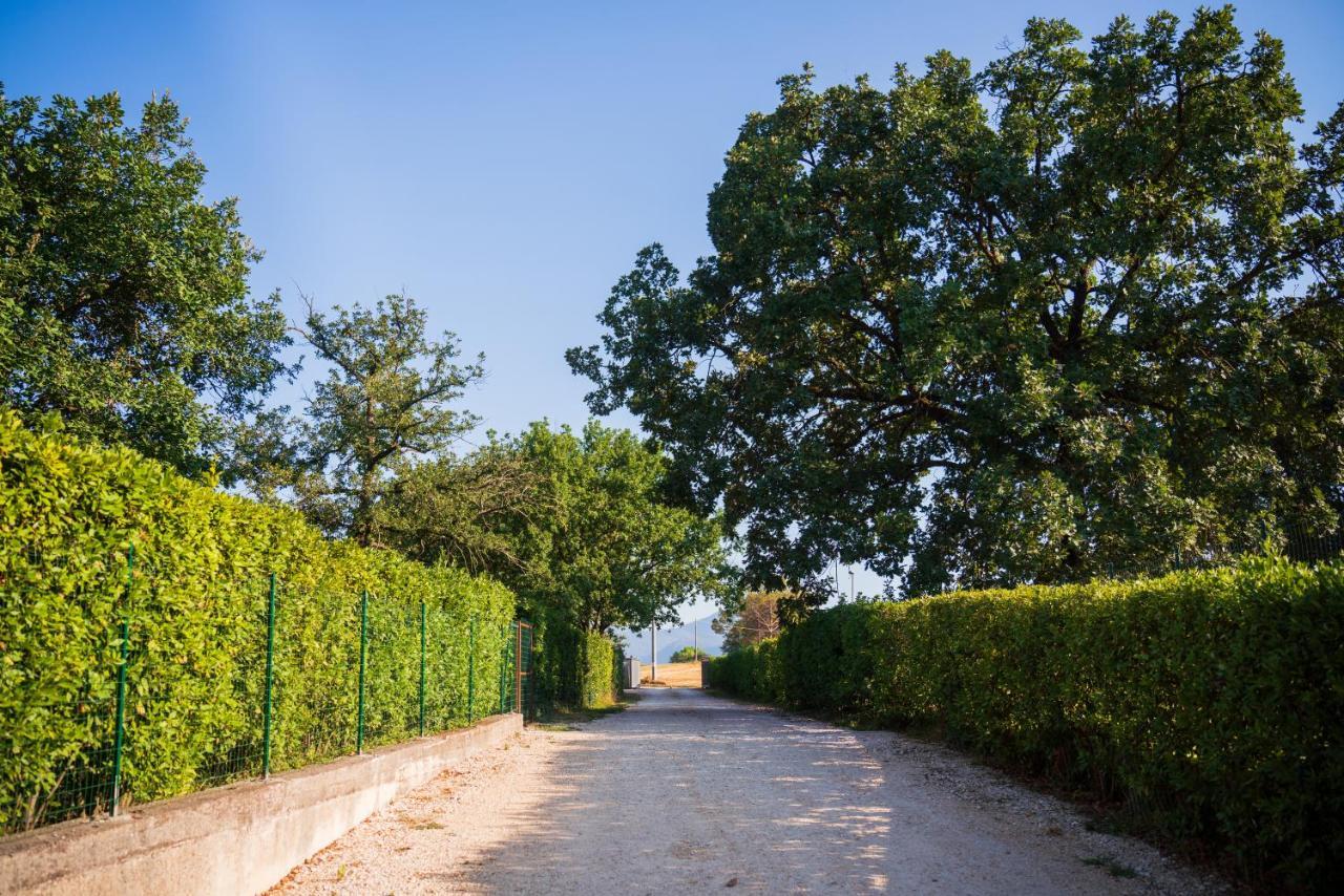 Le Colonne Bed and Breakfast Cassino Buitenkant foto